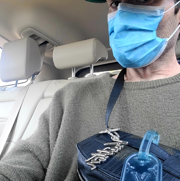 Meet your Posher, William - Picture 2 of 2